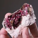 Wendwilsonite with Calcite - image 2