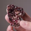 Wendwilsonite/Roselite - image 2