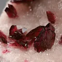 Wendwilsonite/Roselite on COBALTOAN Calcite - image 1