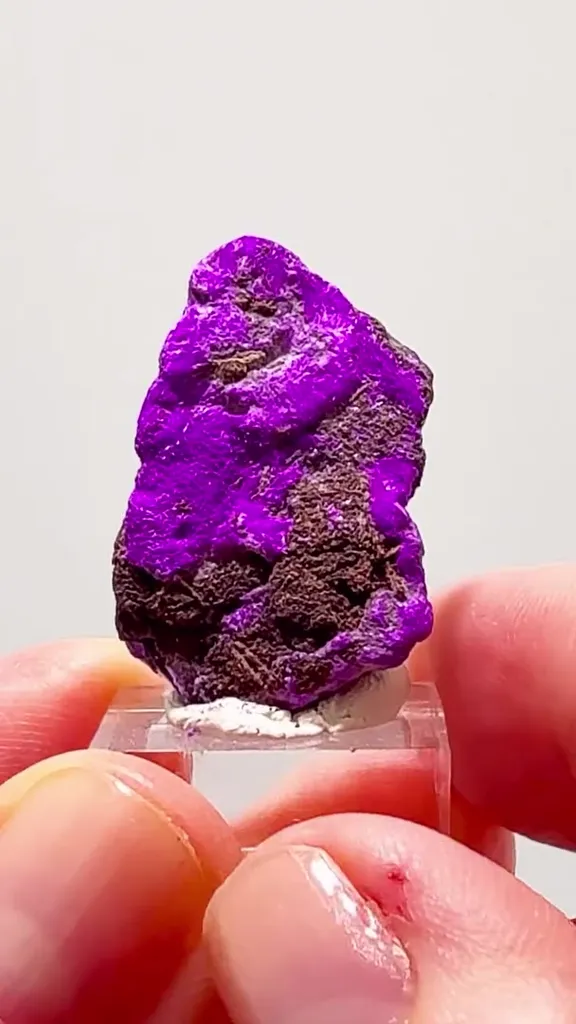 WESSELS MINE Sugilite — THAT PURPLE IS INSANE image