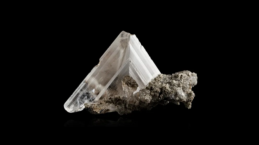 Whewellite image