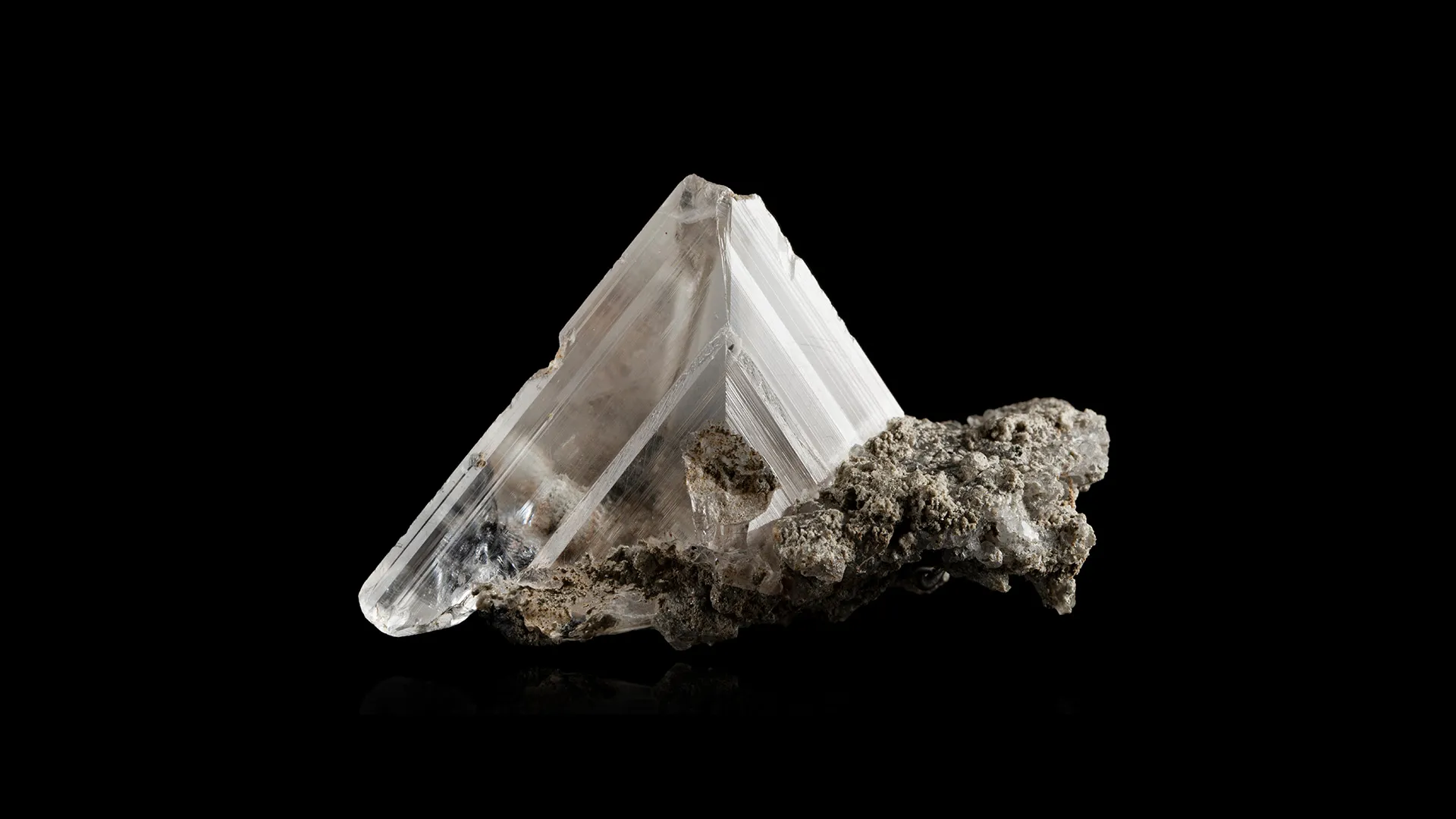 Whewellite - image 1