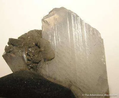 Whewellite - image 2