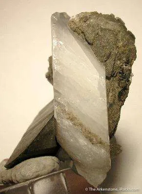 Whewellite - image 3
