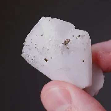 Whewellite