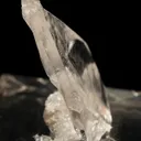 Whewellite - image 2