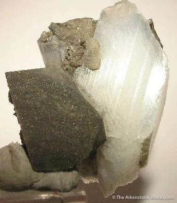 Whewellite - image 4