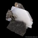 Whewellite - image 4
