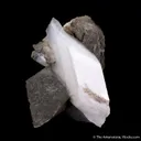 Whewellite - image 1