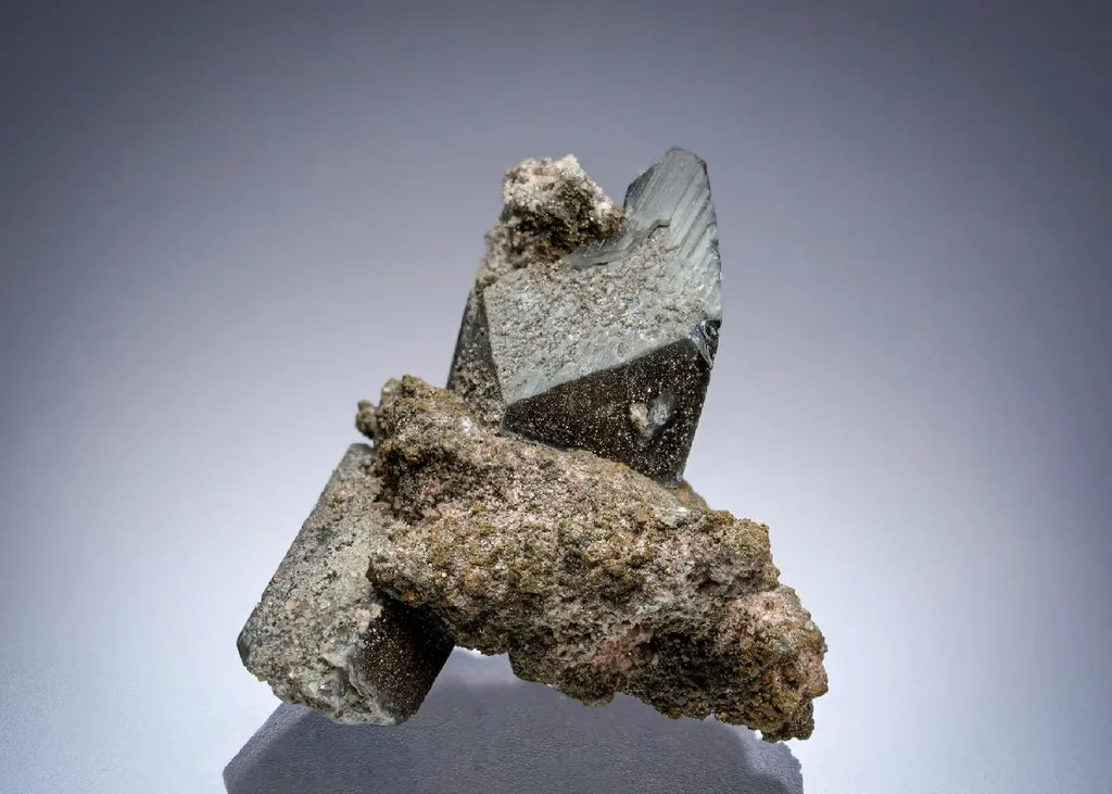Whewellite image