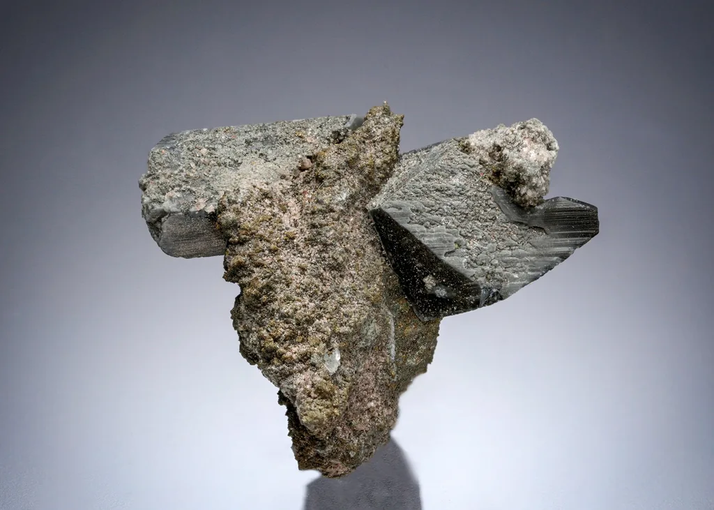 Whewellite - image 2