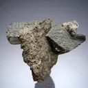 Whewellite - image 2