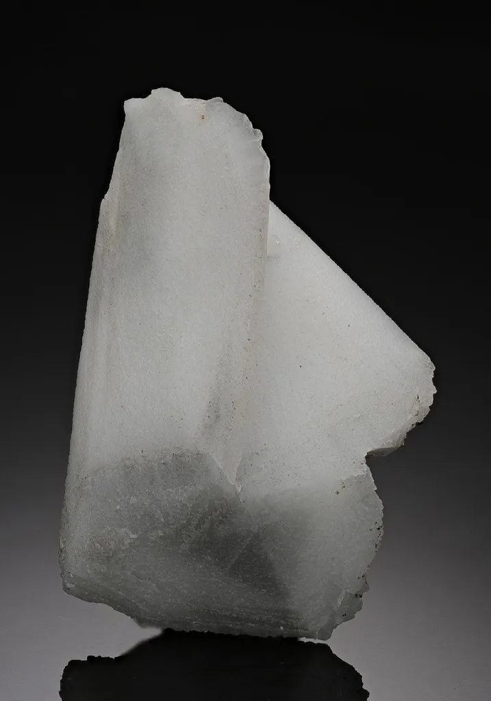 Whewellite image