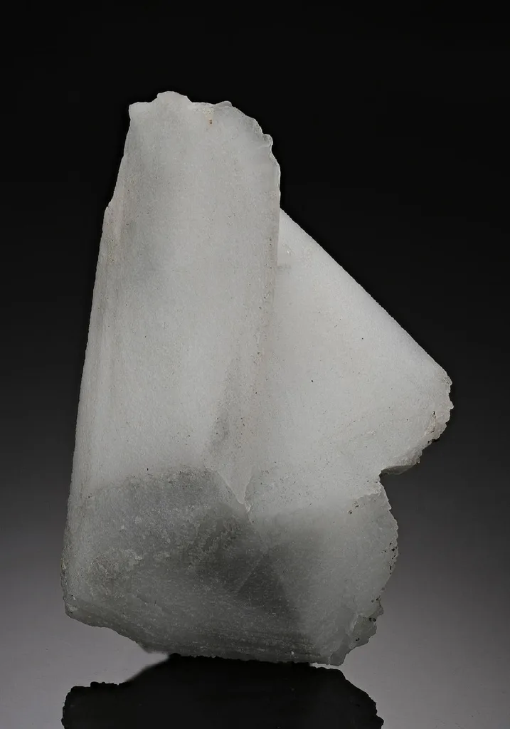 Whewellite image