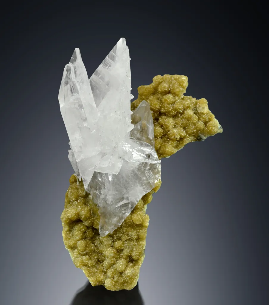 Whewellite from Romania, Maramureș County, Baia Sprie image