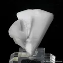 Whewellite (twinned) - image 4