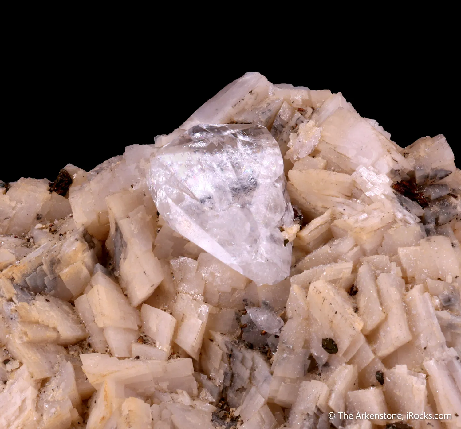 Whewellite (twinned) on Dolomite, Calcite & Chalcopyrite - image 5