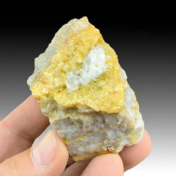Whewellite with Ankerite, Pyrite