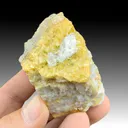 Whewellite with Ankerite, Pyrite - image 1