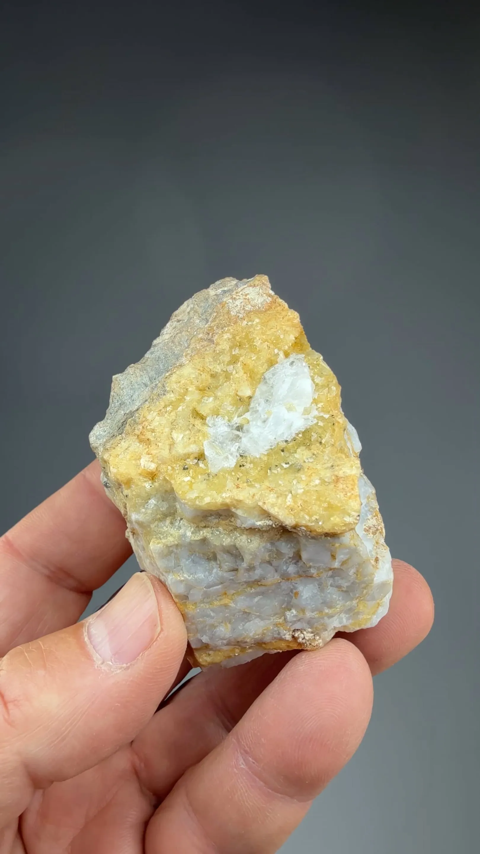 Whewellite with Ankerite, Pyrite - image 2