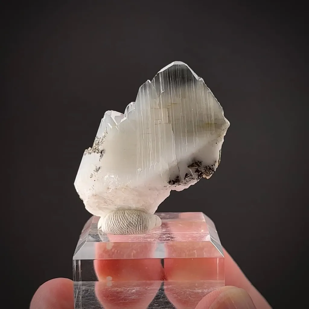 Whewellite with Löllingite inclusions and Weddelite(?) image