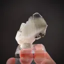 Whewellite with Löllingite inclusions and Weddelite(?) - image 1