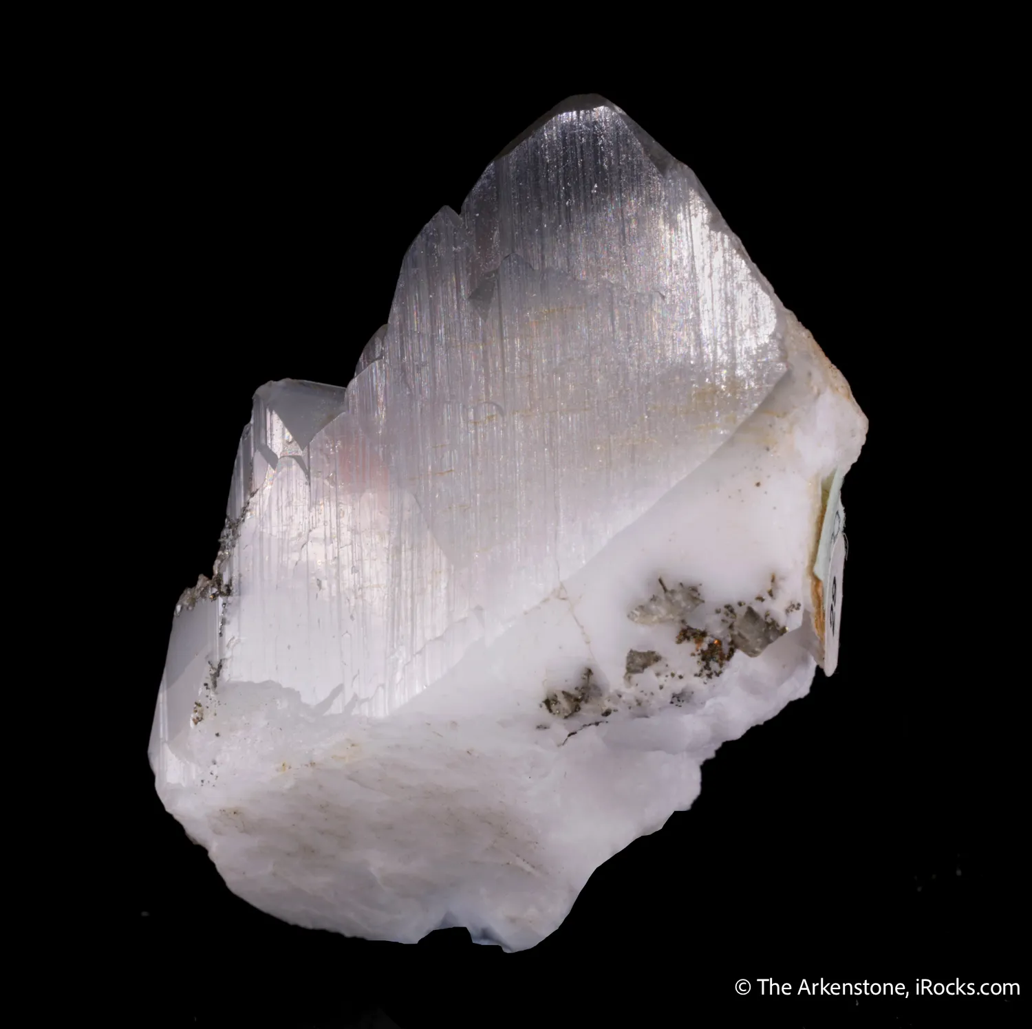 Whewellite with Löllingite inclusions and Weddelite(?) - image 3