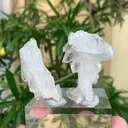 specimen video