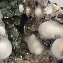 White mini mesolite from India, Madhya Pradesh, Pithampur - image 7