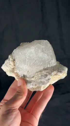 specimen video