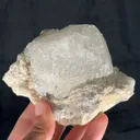 specimen video