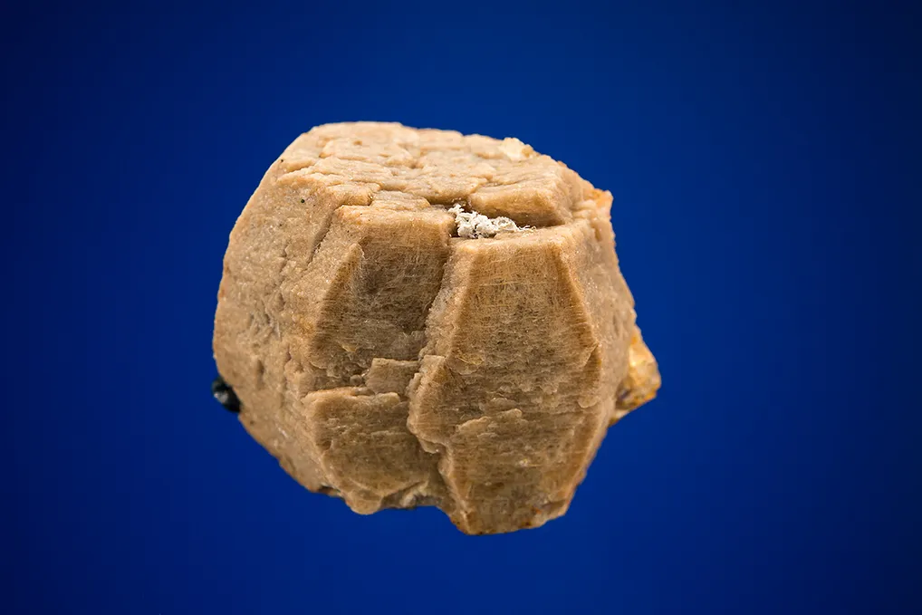 Whiteite image