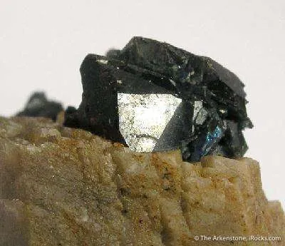 Whiteite Floater With Lazulite - image 2
