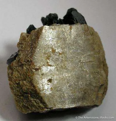 Whiteite Floater With Lazulite - image 4