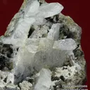 Whitlockite with Arrojadite (KFe), Kulanite, Nahpoite and Quartz - image 2