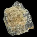Willemite - image 1