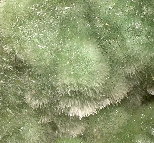 Willemite - image 2