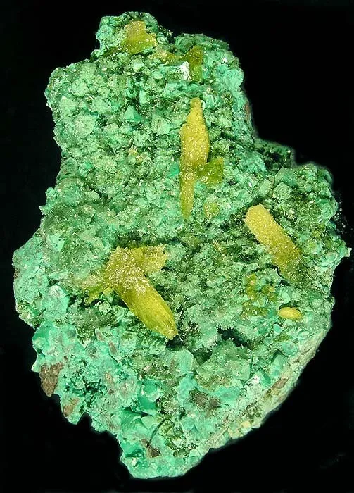 Willemite, Adamite (Var: Cuprian Adamite) image