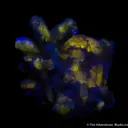 Willemite and Calcite ps. after Azurite with Mimetite - image 5