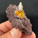 Willemite from Erupción Mine, Los Lamentos Mts, Chihuahua, Mexico - image 2