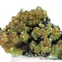 Willemite on Willemite - image 2