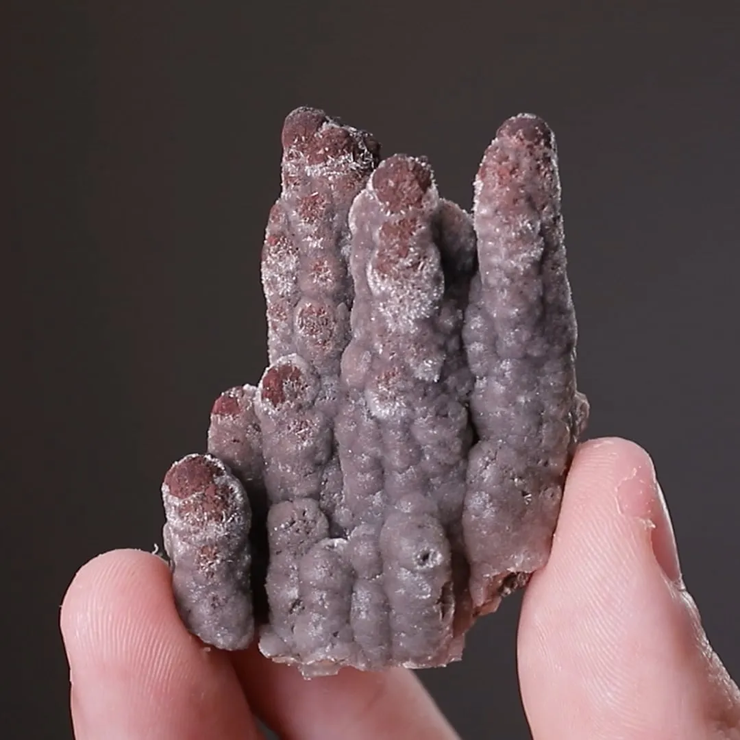 Willemite var. TROOSTITE - image 2