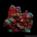 Willemite with Duftite incl. Calcite - image 3