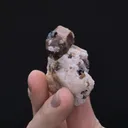 Willemite with Franklinite and Calcite - image 2