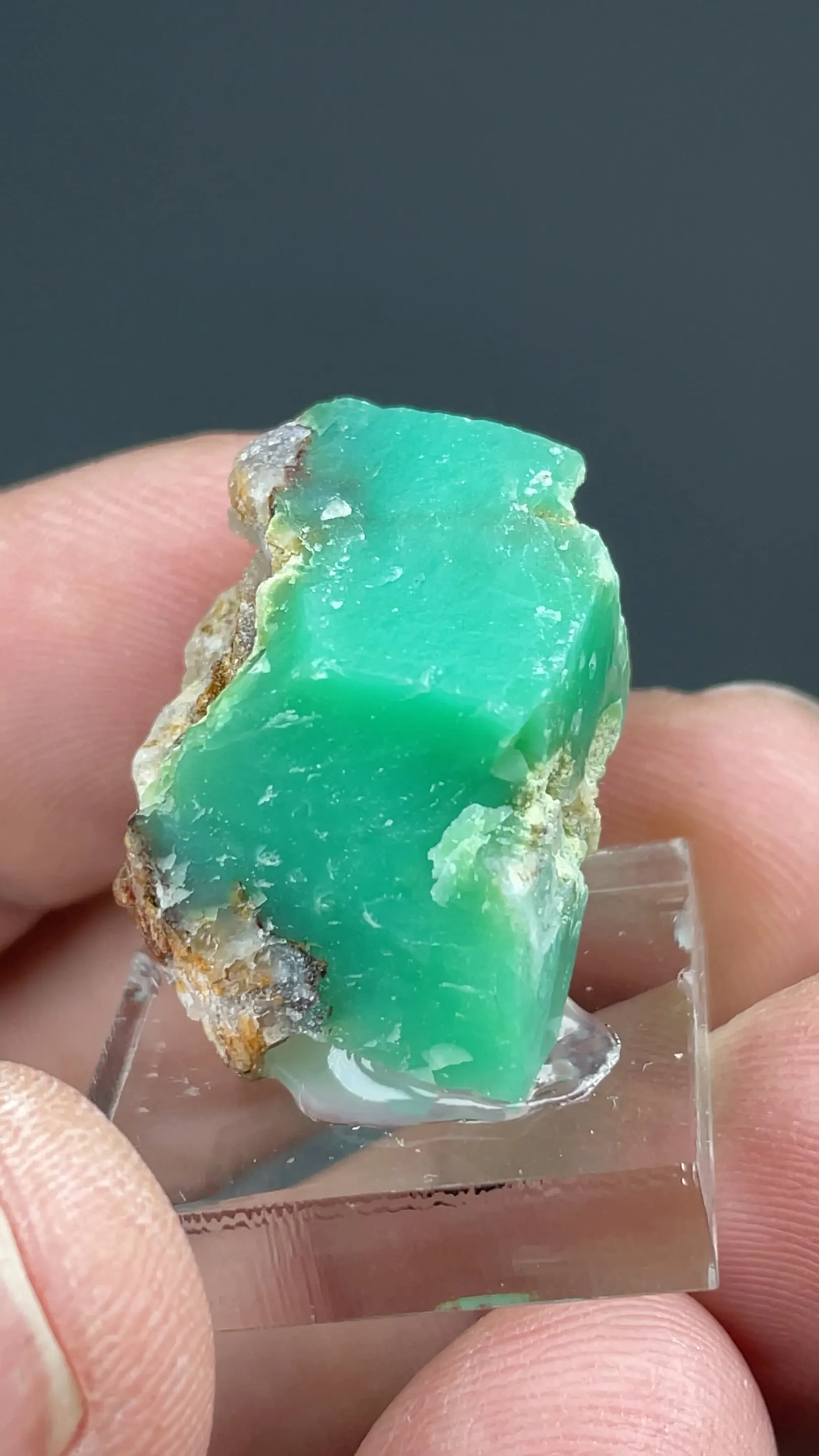 Willemseite in Quartz - image 2