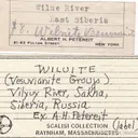 Wiluite - image 5