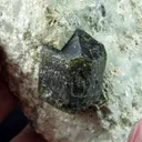 Wiluite (Type Locality) - image 4