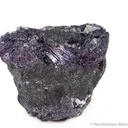 Winchite in Braunite - image 2