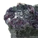 Winchite in Braunite - image 1