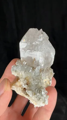 specimen video